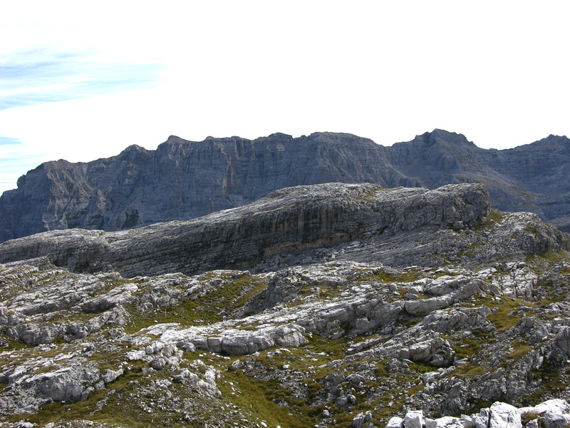 Quello che ho visto con gli occhi....